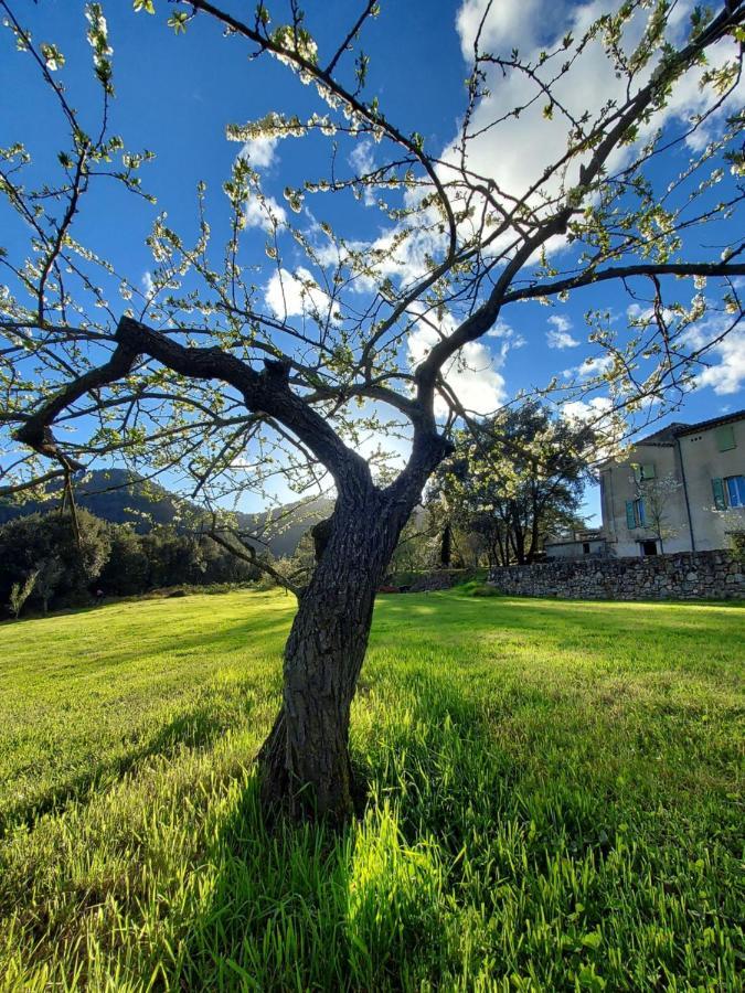 Les Jardins De Falguiere Saint-Jean-du-Gard Exterior foto